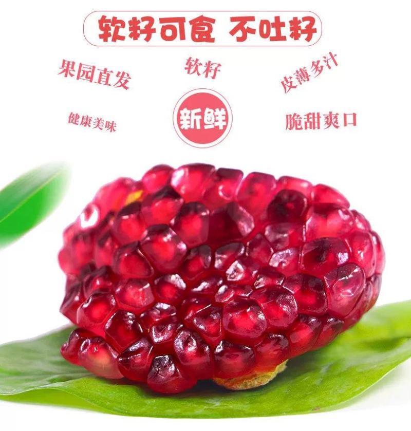 【精品】石榴四川会理软籽果产地直销可供商超，