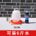 鸡自动饮水器装水壶家禽规模养殖饮水设备