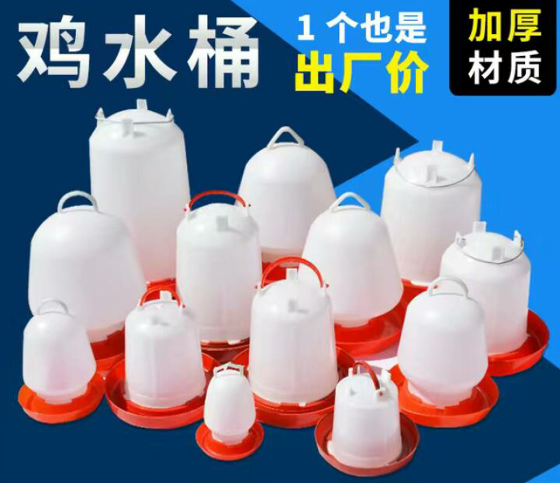 鸡自动饮水器装水壶家禽规模养殖饮水设备