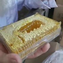 新疆今年特产纯蜂蜜沙枣花蜂蜜