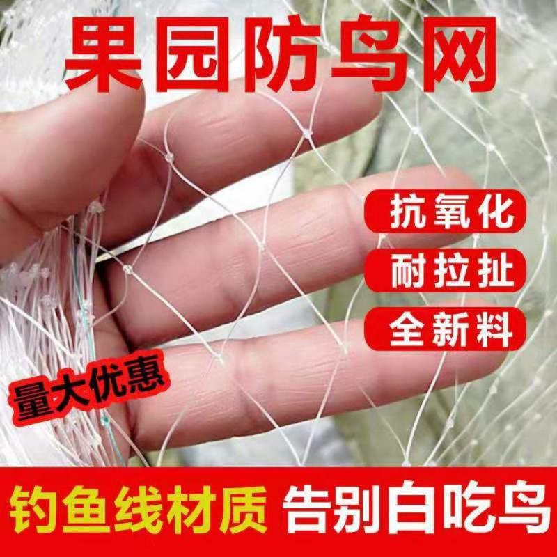 防鸟网使用寿命长一斤出55-60平方，尼龙材质可提供发票
