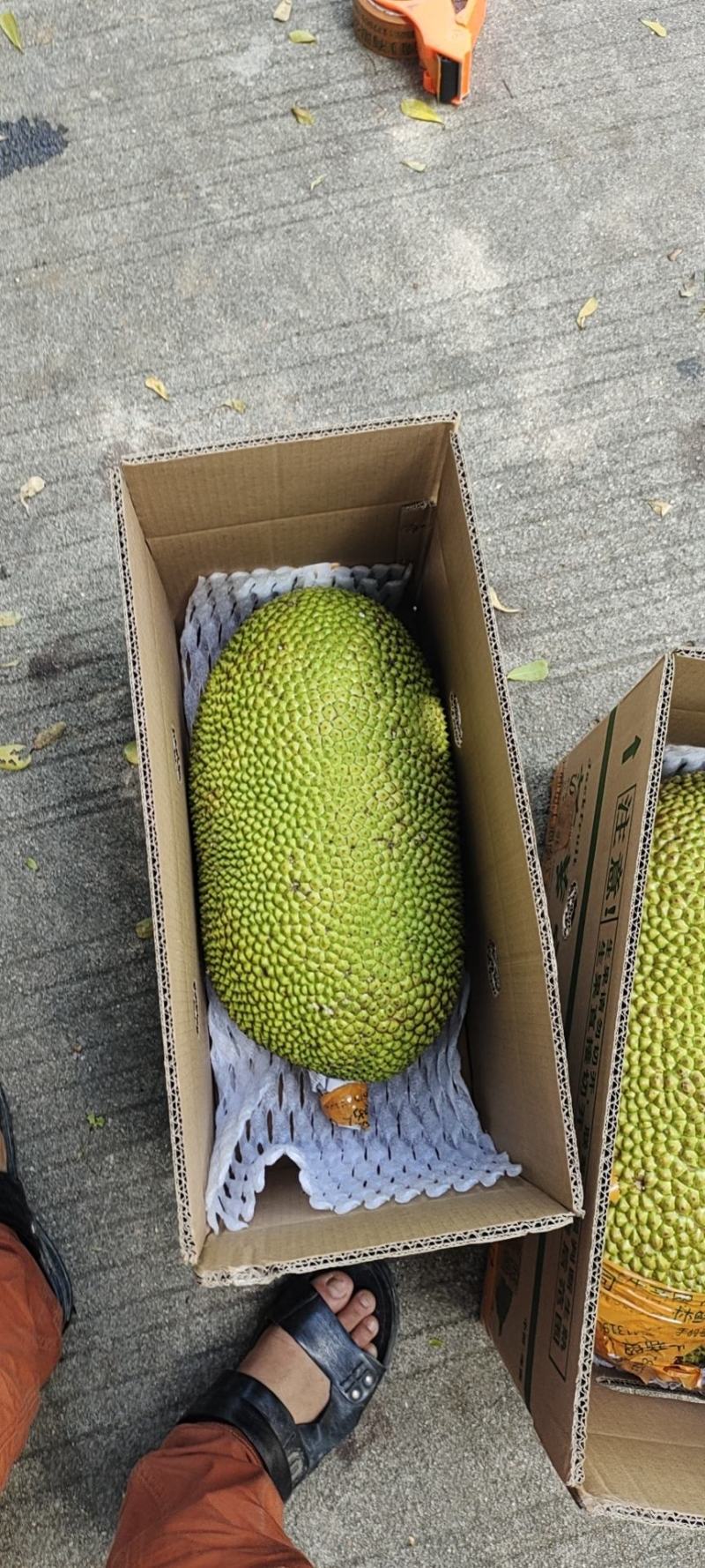 海南菠萝蜜自产自发支持电商社区团购一件代发坏包赔