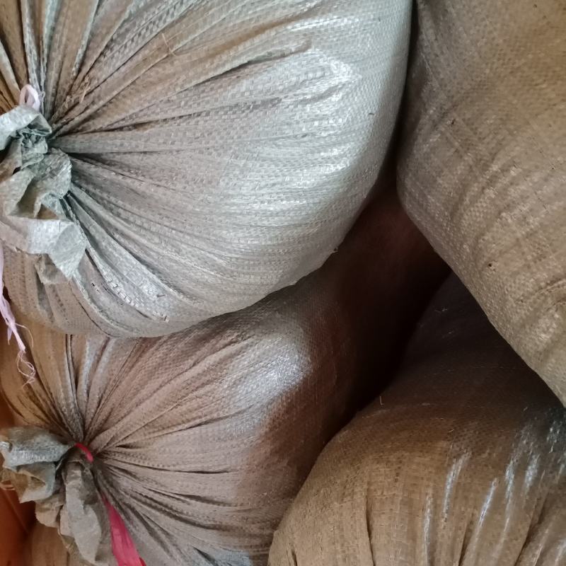 车前草，贵州野生水洗干货，只做质量不做数量，一手货源