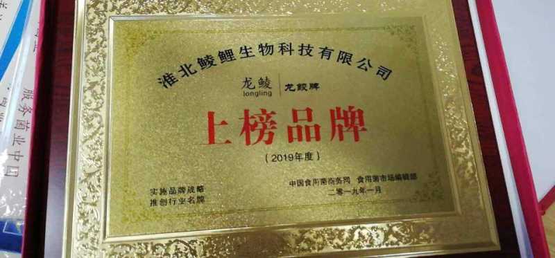 羊肚菌菌种一亩400斤种，免费提供技术支持市场价回收产品