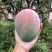 凯特芒果