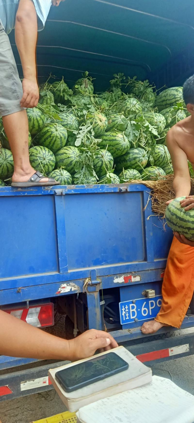 兴安花皮西瓜，口感**棒，甜过小三，胜货初恋