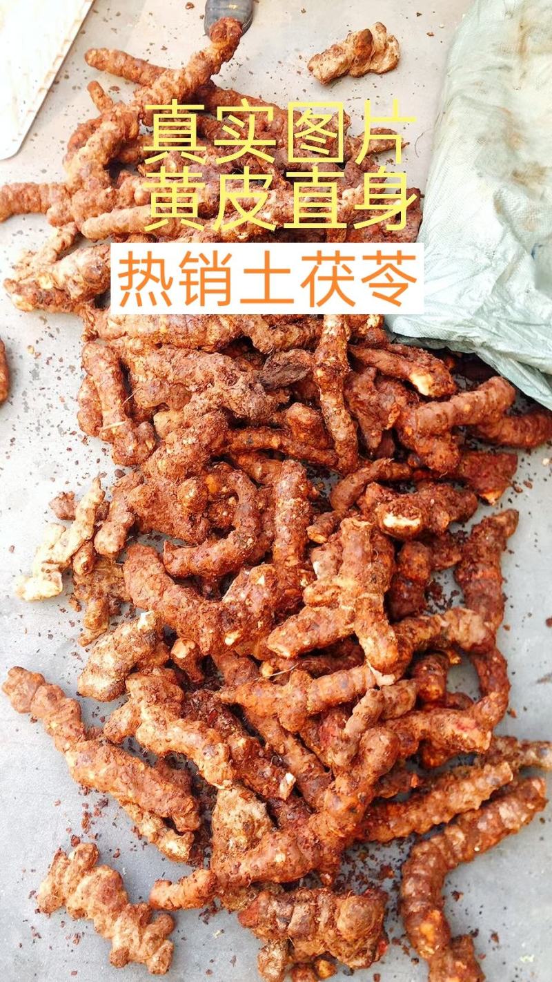 云南土茯苓，长期供应货源！实力供应商！