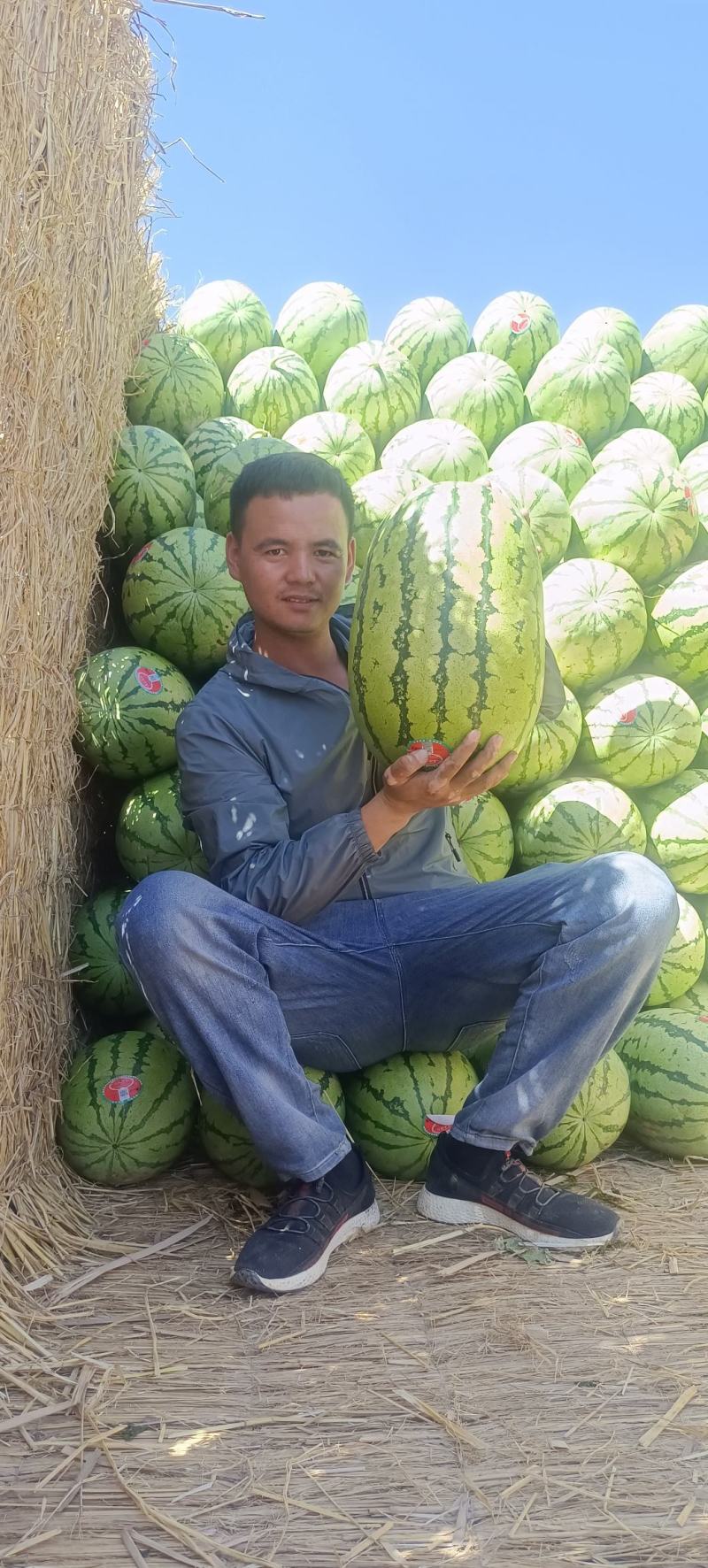 【推荐老店】宁夏石头瓜诚信报价产地直发质量保证