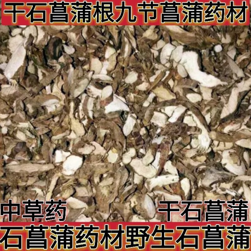 石菖蒲中草药中药材石菖蒲野生石菖蒲干石菖蒲根九节蒲
