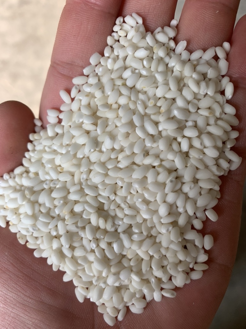 新米，可走任何五十斤一百斤包装，车皮汽运都行，可快递验货