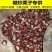 2022正宗迁西生板栗批发栗子批发价生油栗子糖炒板栗
