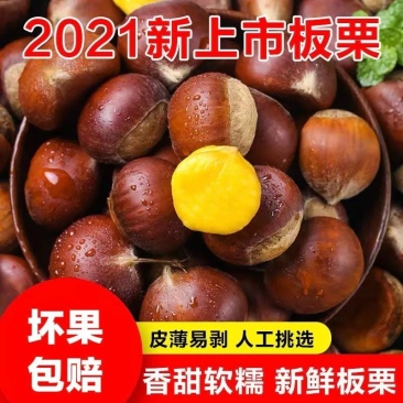 2022正宗迁西生板栗批发栗子批发价生油栗子糖炒板栗