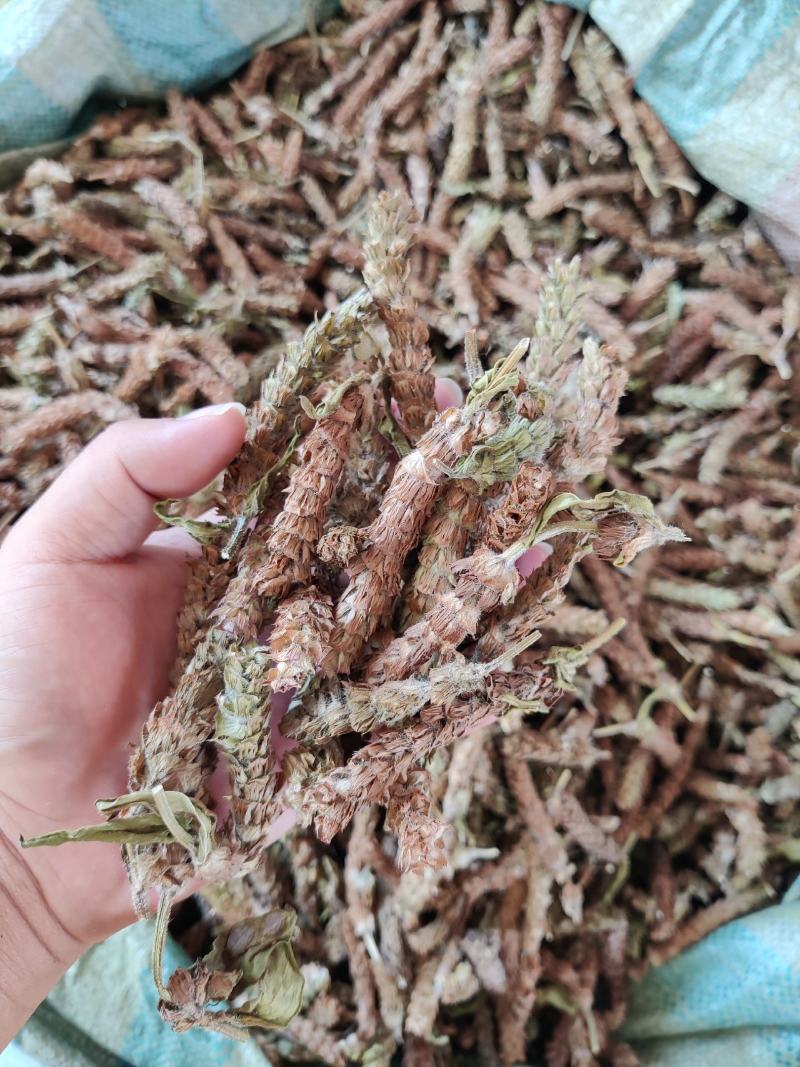 野生夏枯草夏枯球一斤起批野生夏枯草自然晒干