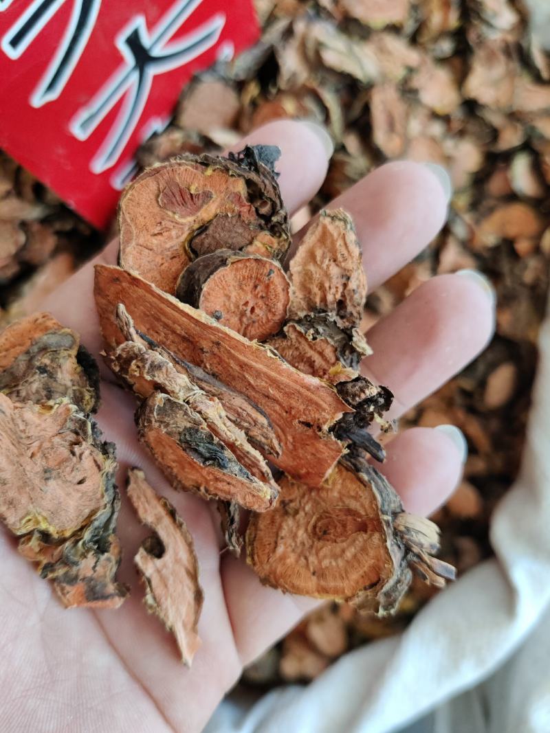 西藏红景天小花红景天大花产地西藏一斤起批