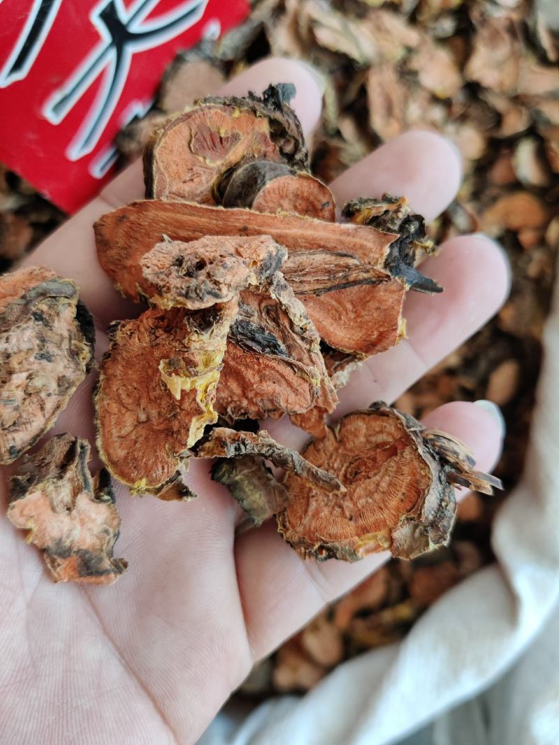 西藏红景天小花红景天大花产地西藏一斤起批