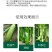 巨力丰—必互进口甲壳素冲施肥水溶肥蔬菜辣椒膨大拉长促长素