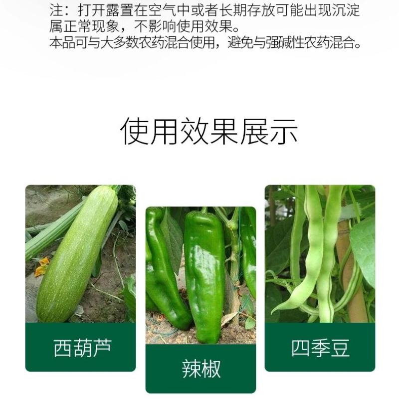 巨力丰—必互进口甲壳素冲施肥水溶肥蔬菜辣椒膨大拉长促长素