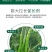 巨力丰—必互进口甲壳素冲施肥水溶肥蔬菜辣椒膨大拉长促长素