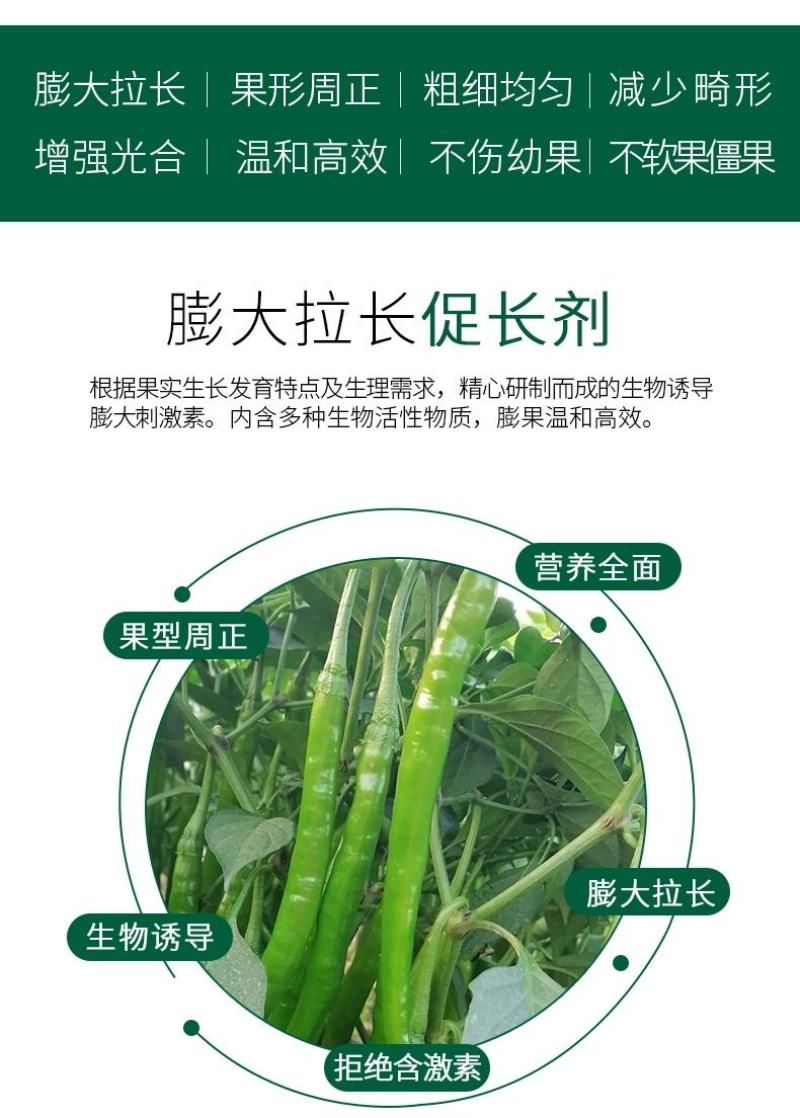 巨力丰—必互进口甲壳素冲施肥水溶肥蔬菜辣椒膨大拉长促长素