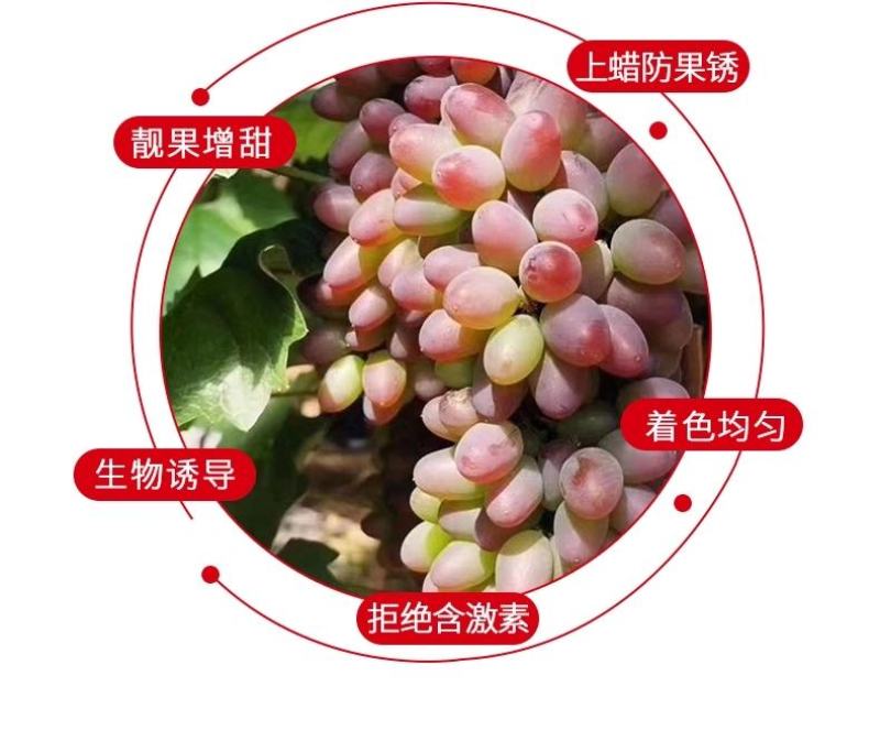 果色靓必互甲壳素锌镁钼钙肥螯合铁叶面肥水溶冲施肥瓜果树