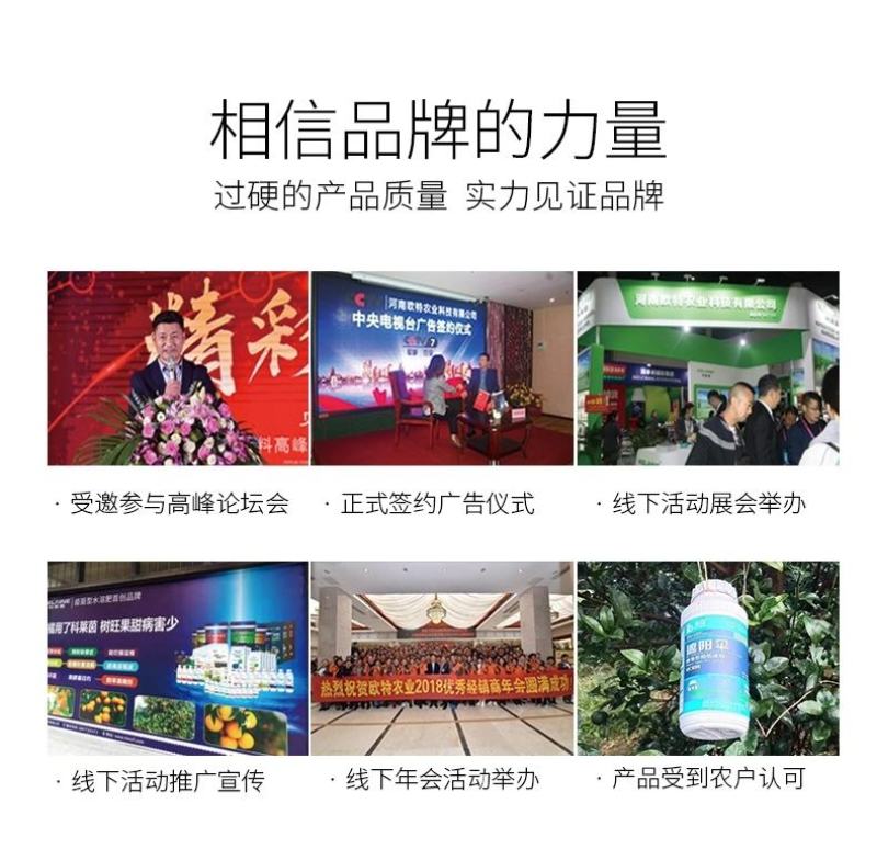 果色靓必互甲壳素锌镁钼钙肥螯合铁叶面肥水溶冲施肥瓜果树