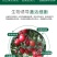 细胞激活素—必互有机氨基酸水溶肥冲施肥果树蔬菜花卉通用