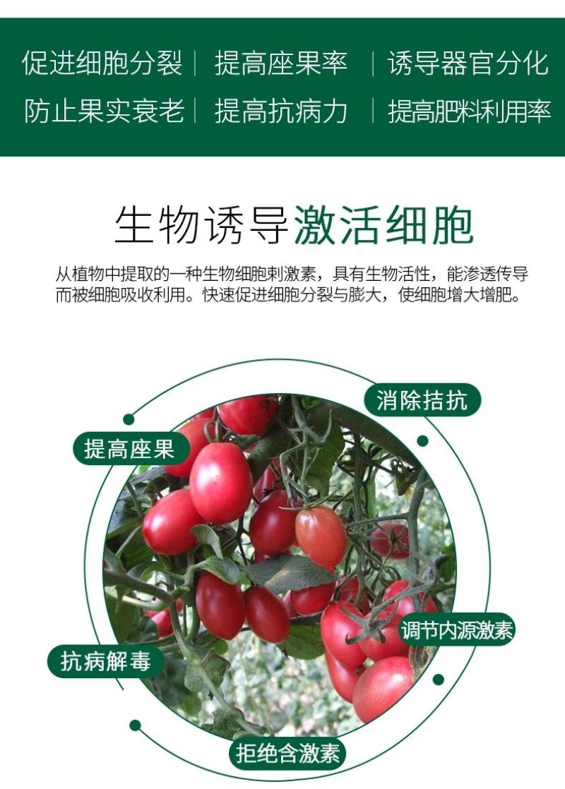细胞激活素—必互有机氨基酸水溶肥冲施肥果树蔬菜花卉通用