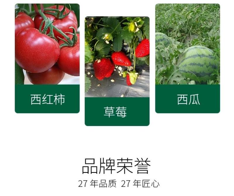 细胞激活素—必互有机氨基酸水溶肥冲施肥果树蔬菜花卉通用