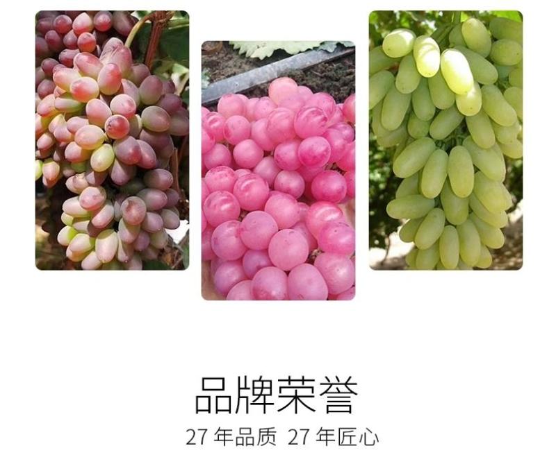 果粉多—必互有机螯合钙肥硼肥叶面肥进口蓝莓葡萄着色增甜