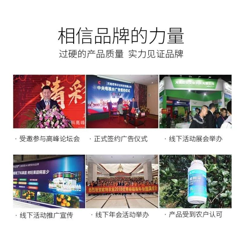 授粉精华素—必互氨基酸水溶肥料螯合铁叶面肥果树蔬菜通用
