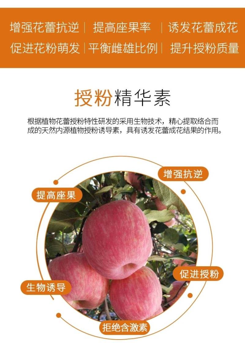 授粉精华素—必互氨基酸水溶肥料螯合铁叶面肥果树蔬菜通用