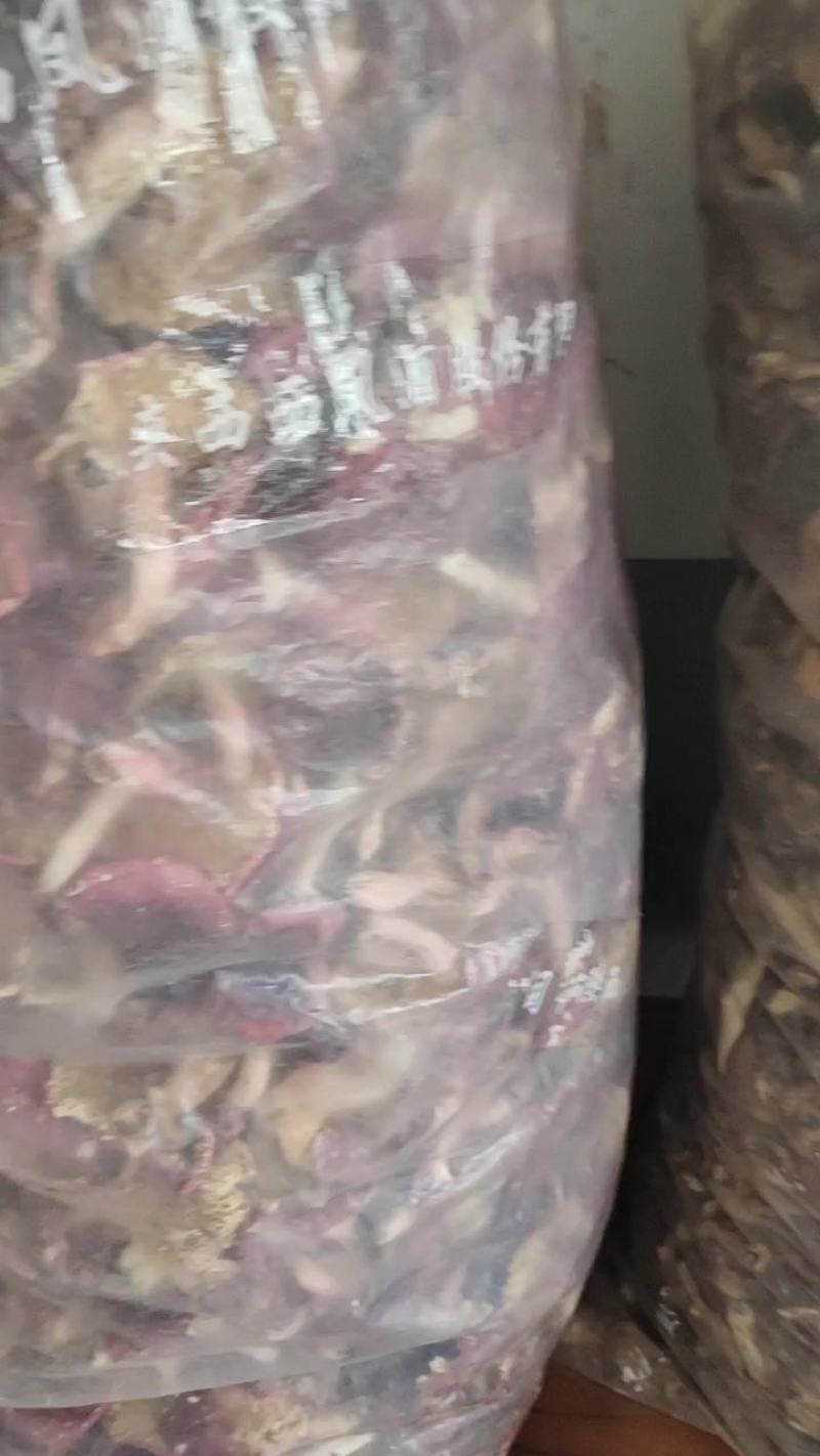 红菇
