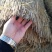 厂家直供公路养护草帘子供货及时运输方便