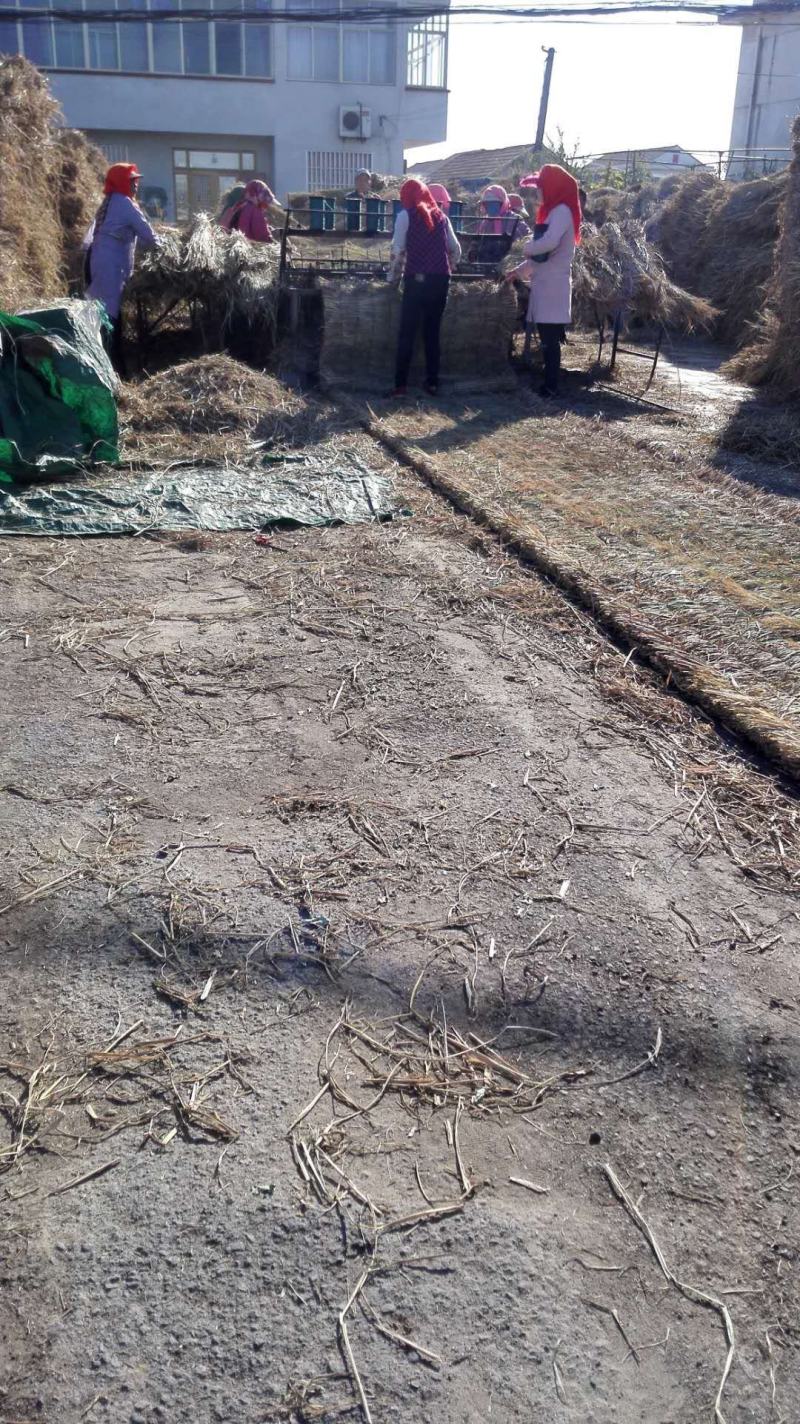 厂家直供公路养护草帘子供货及时运输方便