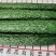 黄瓜30公分以上干花带刺量大，欢迎前来收购