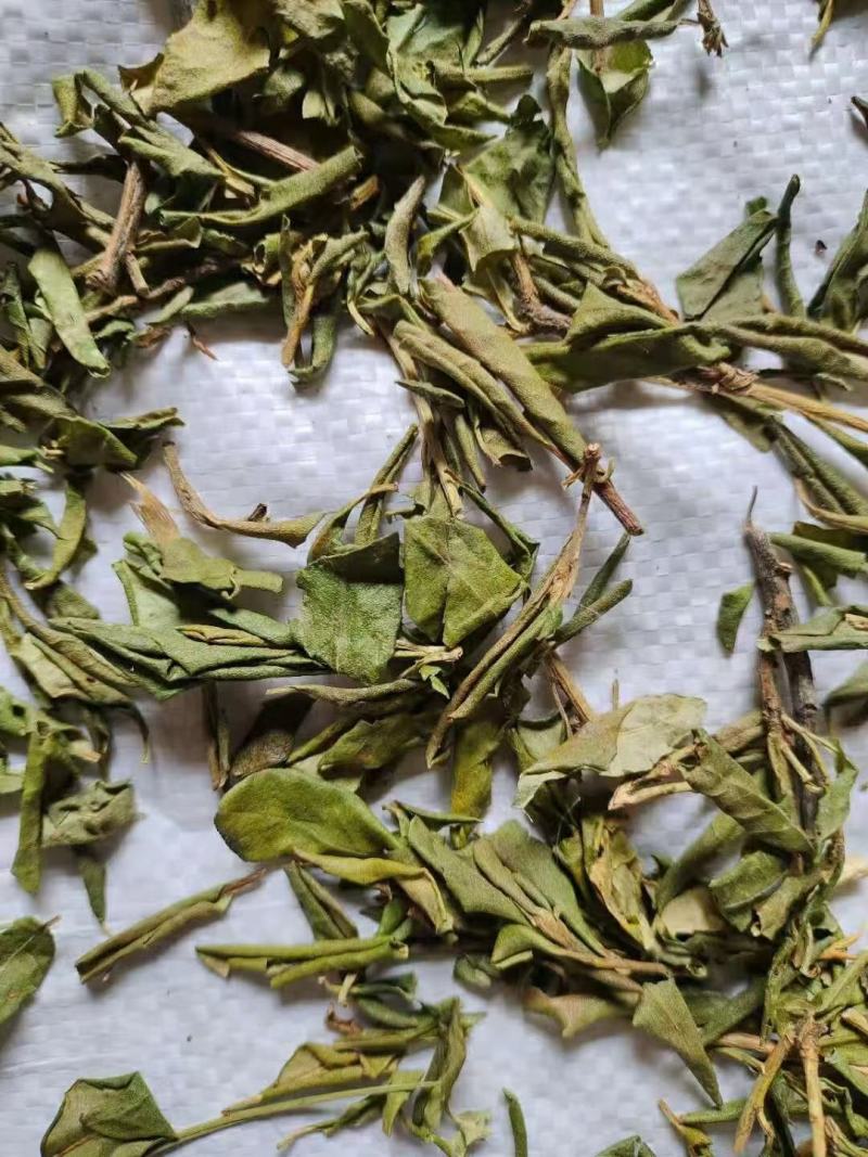 满山红叶中药材常年经营冷背药材！欢迎选购！