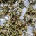 满山红叶中药材常年经营冷背药材！欢迎选购！
