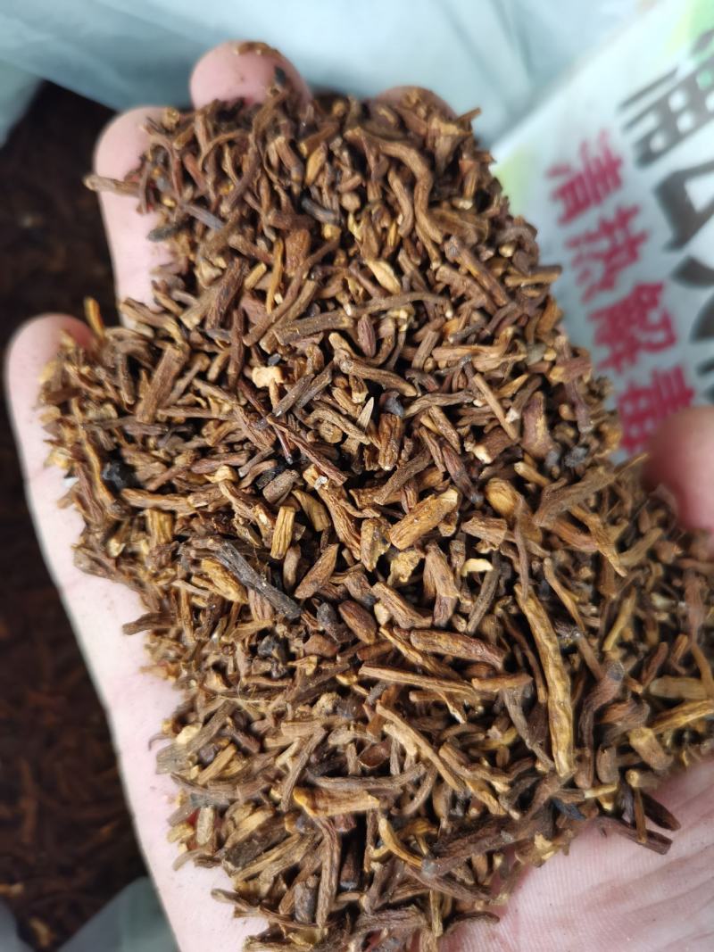 蒲公英根新货蒲公英根足干大根粒过筛无粉沫量大从优