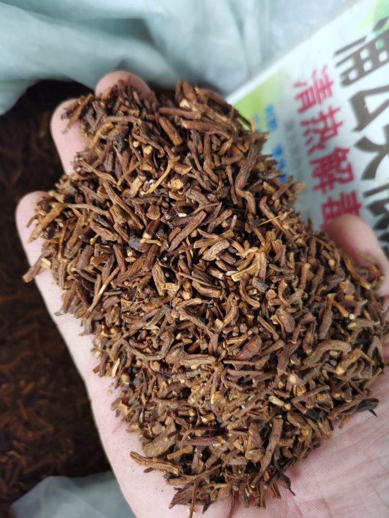 蒲公英根新货蒲公英根足干大根粒过筛无粉沫量大从优