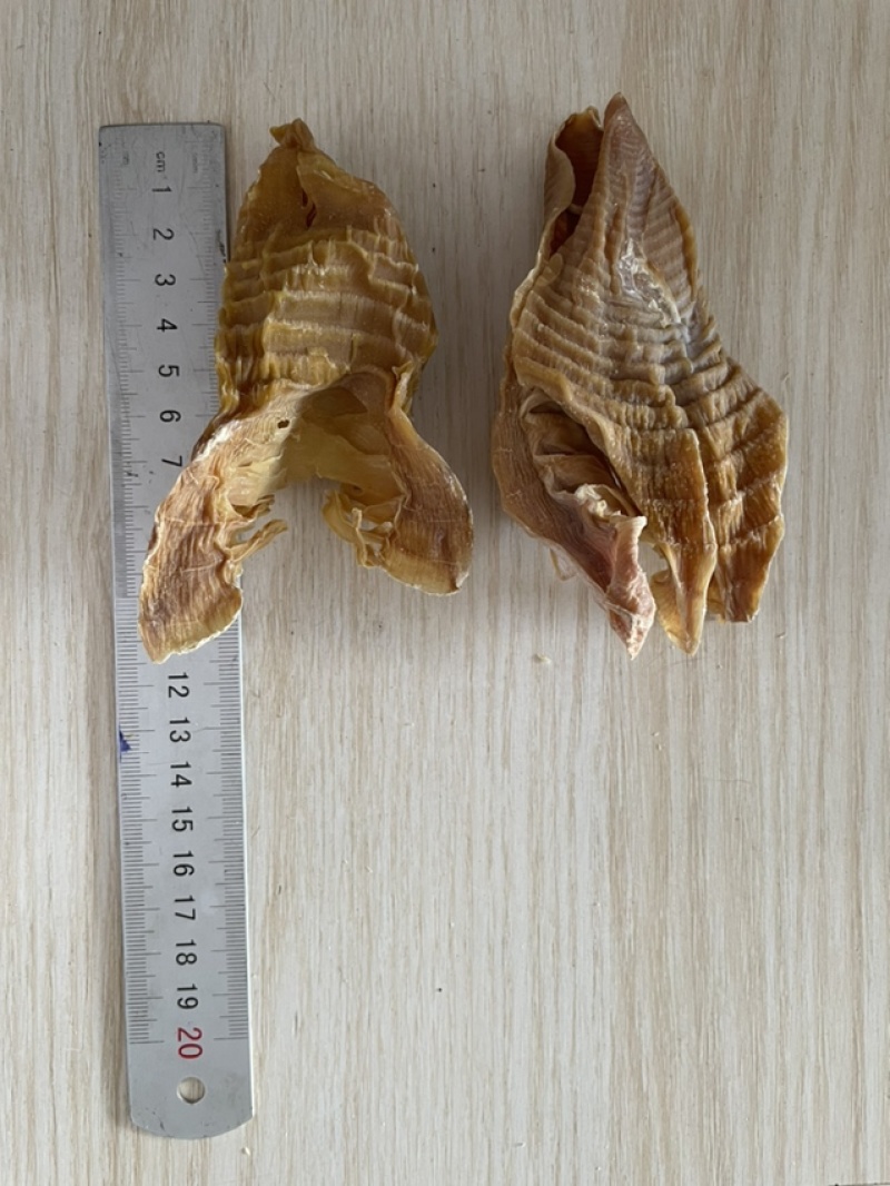 明前笋