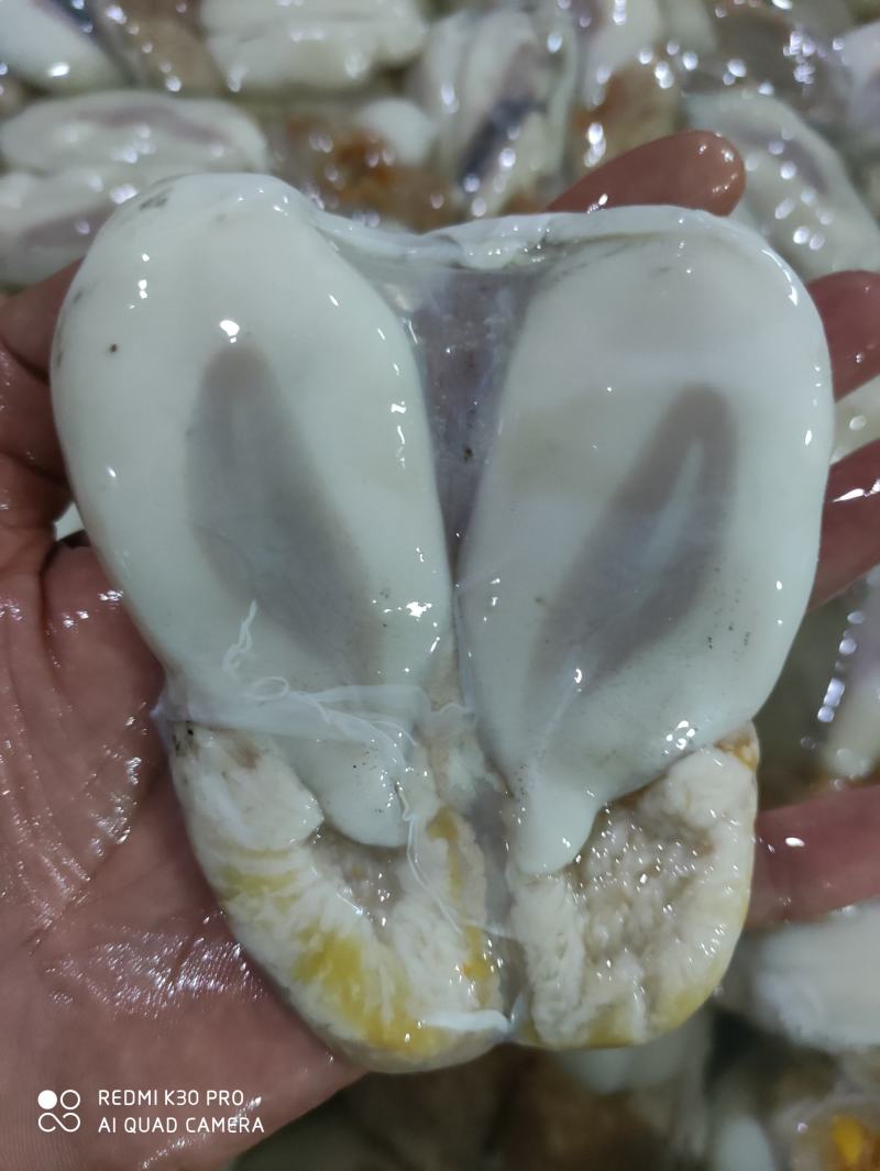 墨鱼卵