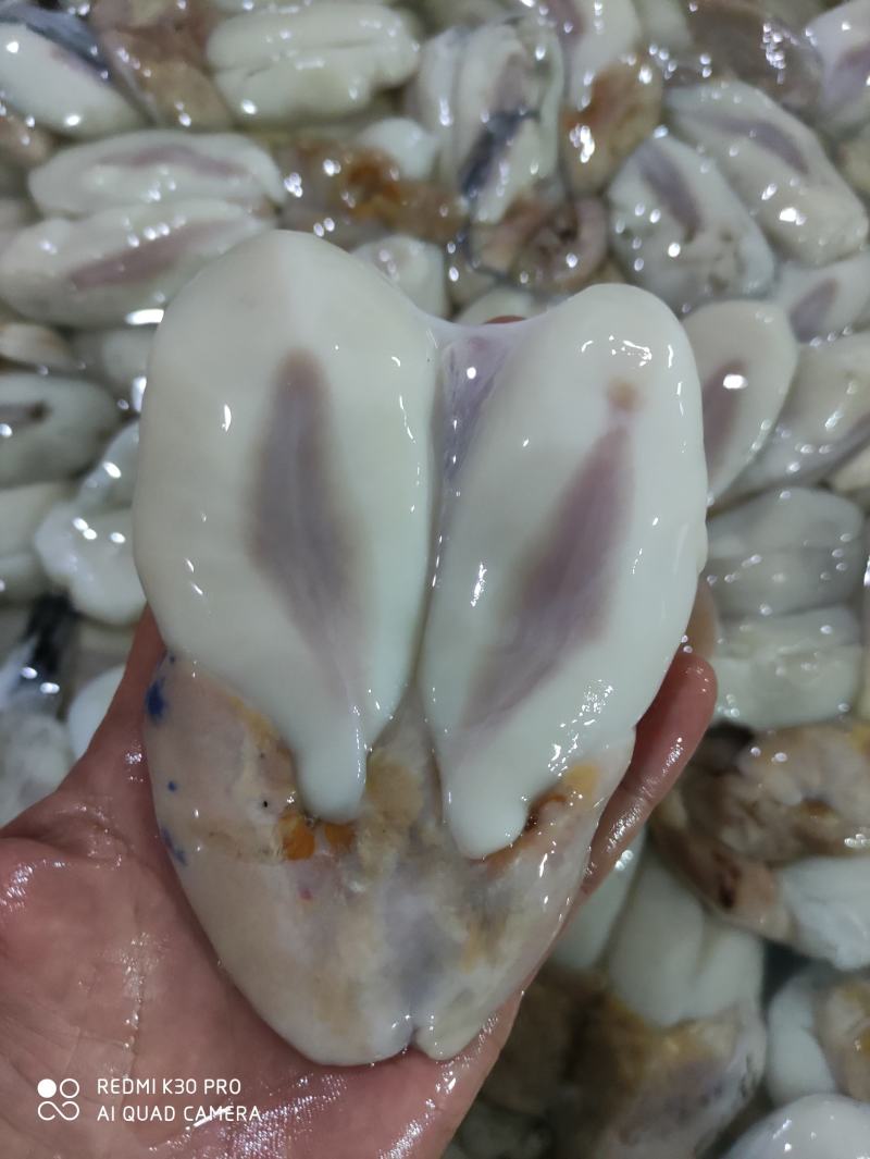 墨鱼卵