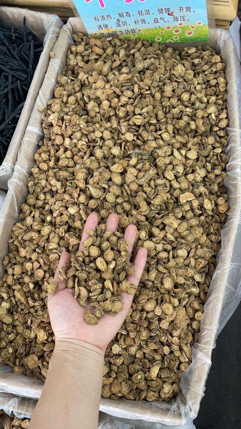 牛蒡片特级牛蒡根片足干货精选过筛无杂质量大从优