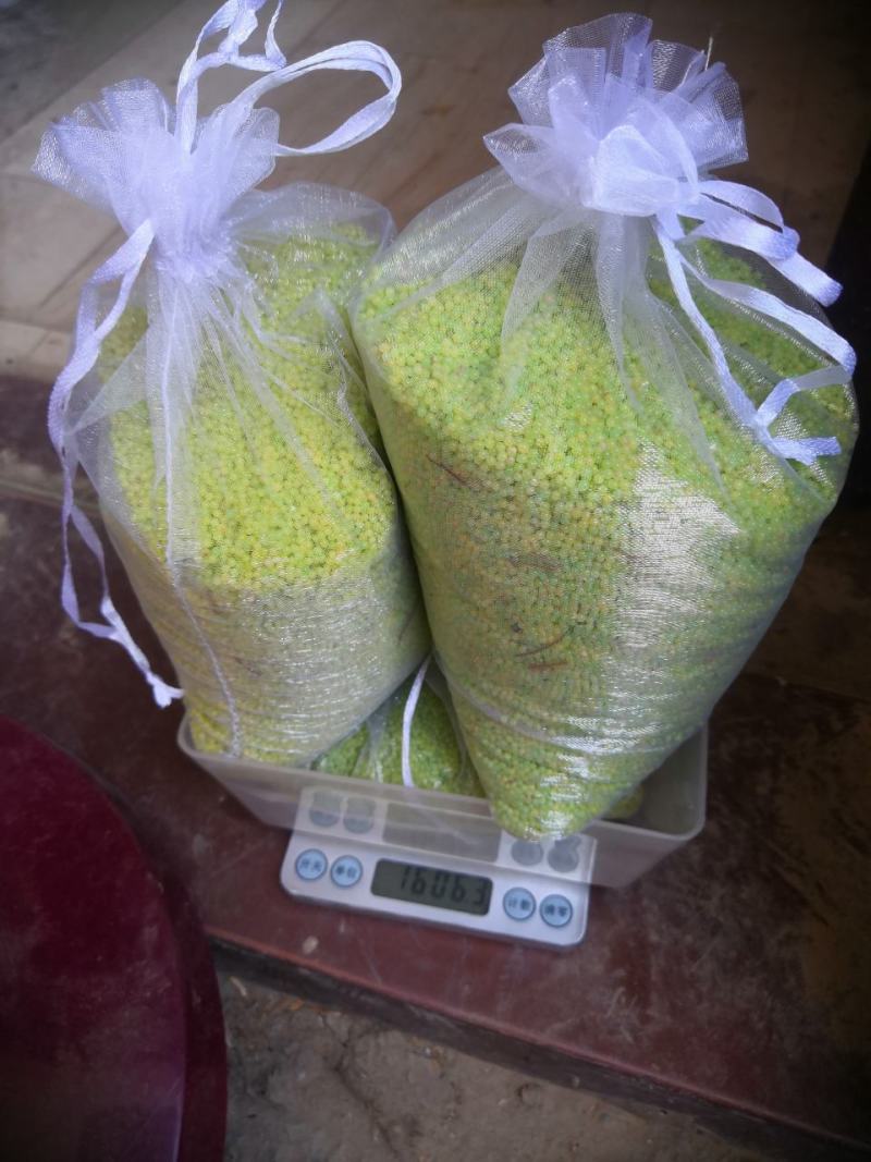 欢迎预订4-5-6-7-8月份的虫卵。专业养殖豆虫（豆丹