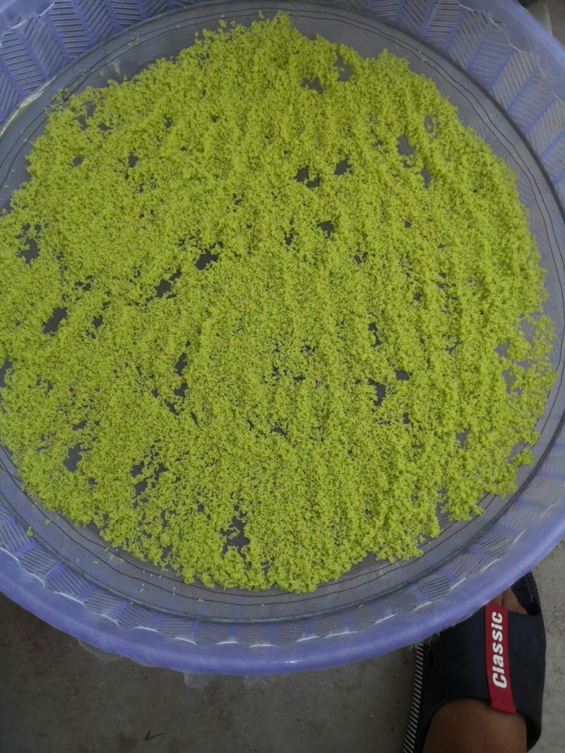 欢迎预订4-5-6-7-8月份的虫卵。专业养殖豆虫（豆丹