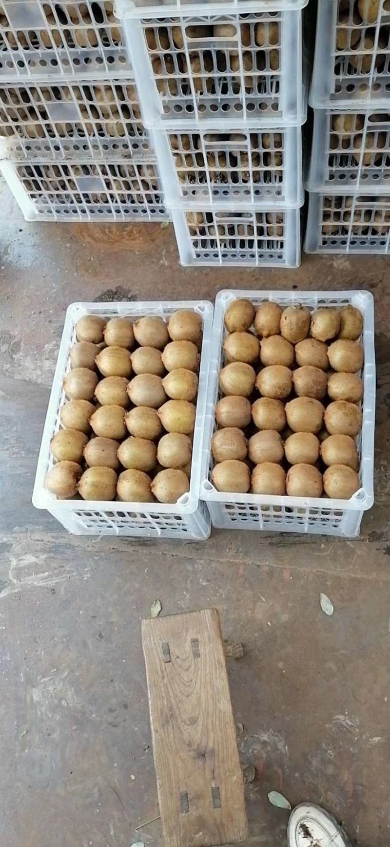 【热卖】猕猴桃陕西绿心水果秦美商品大果对接各电商平台商超