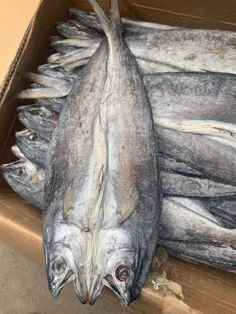 鲅鱼干