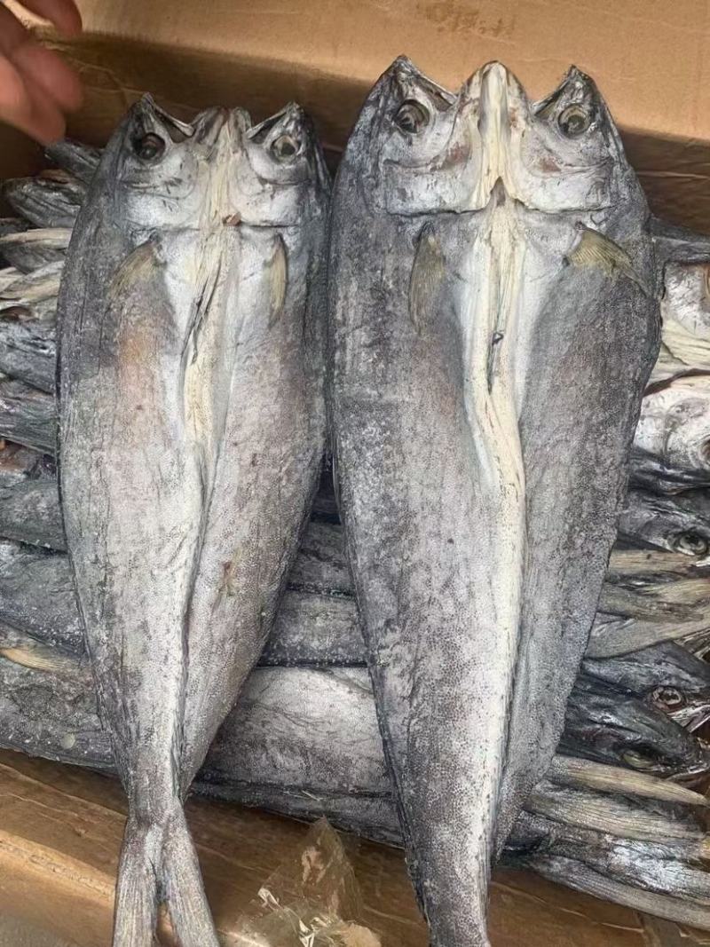 鲅鱼干