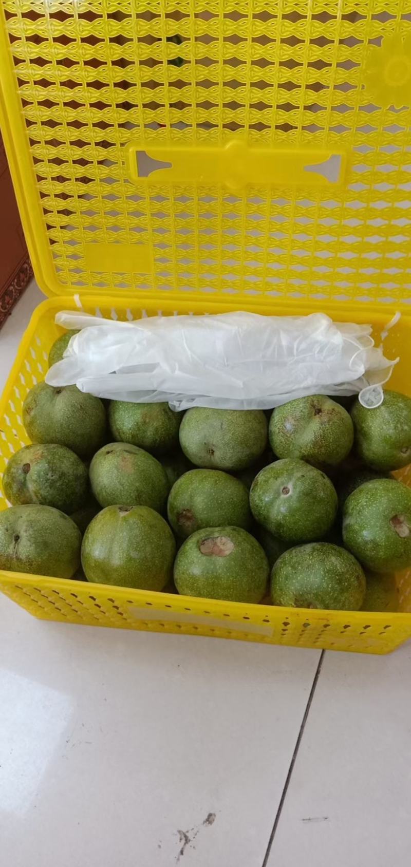 新疆阿克苏青皮核桃新鲜核桃上市壳薄仁大量大从优批发代办