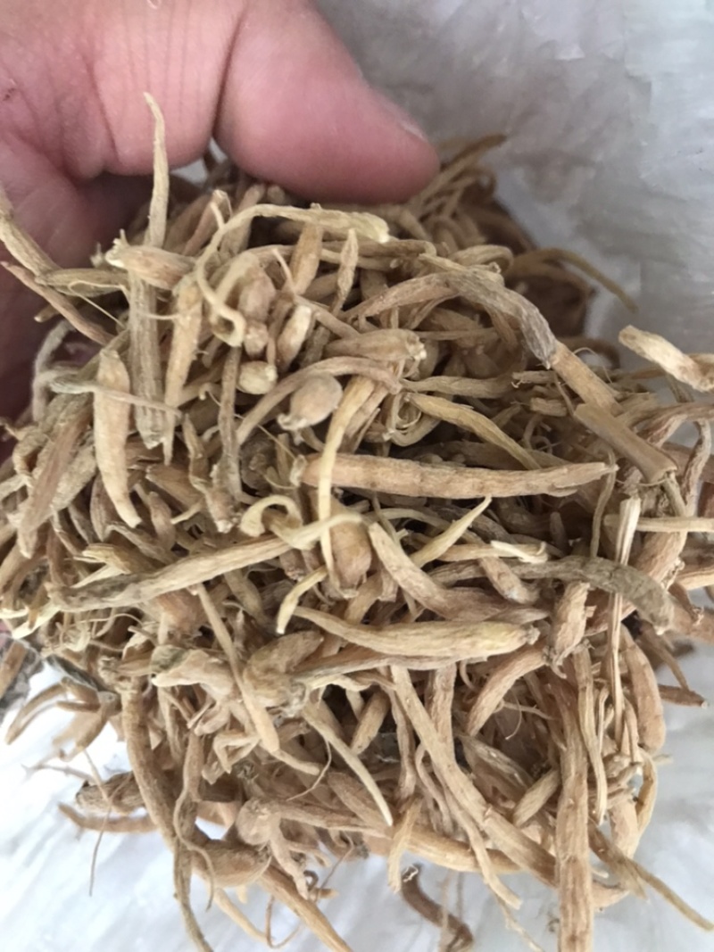 山东临沂太子参经销，干货，种子，种苗购销